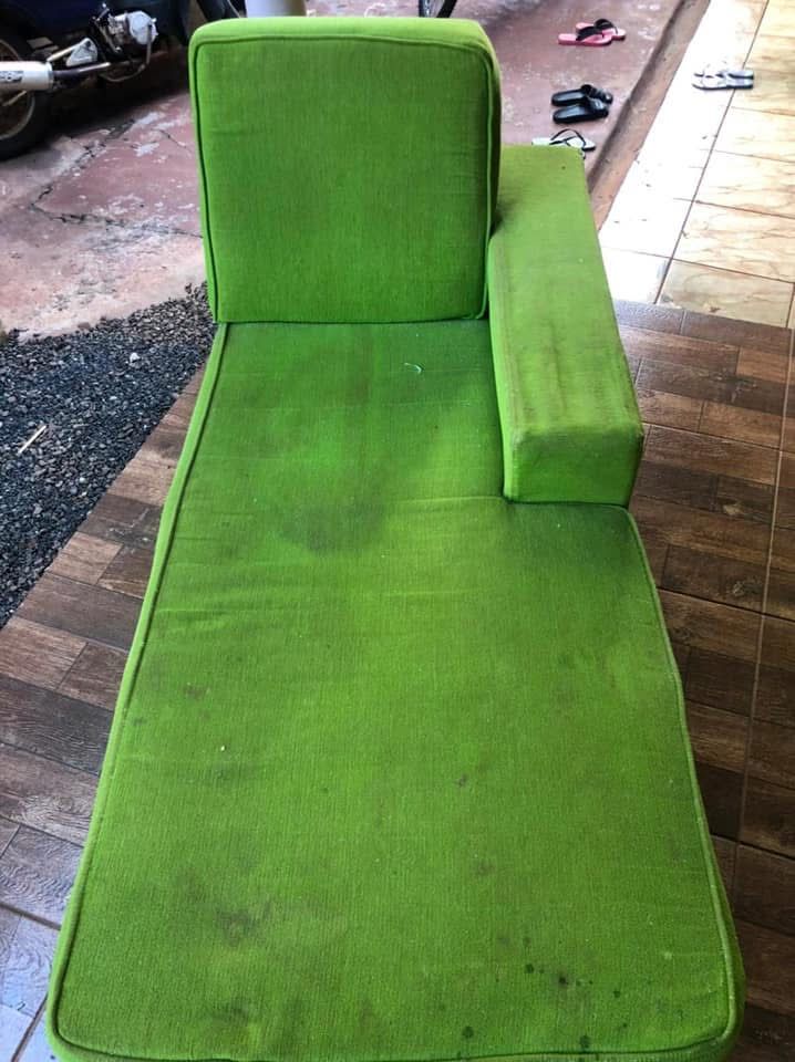 Estofado Verde Antes